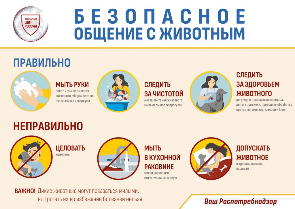 6_БЕЗОПАСНОЕ_ОБЩЕНИЕ_С_ЖИВОТНЫМ_page-0001